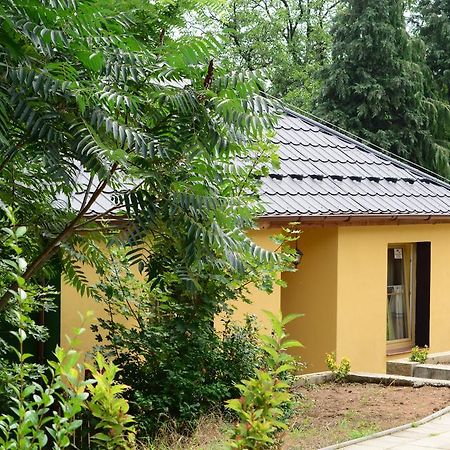 Вилла Areal Hradisek Klobouky u Brna Экстерьер фото